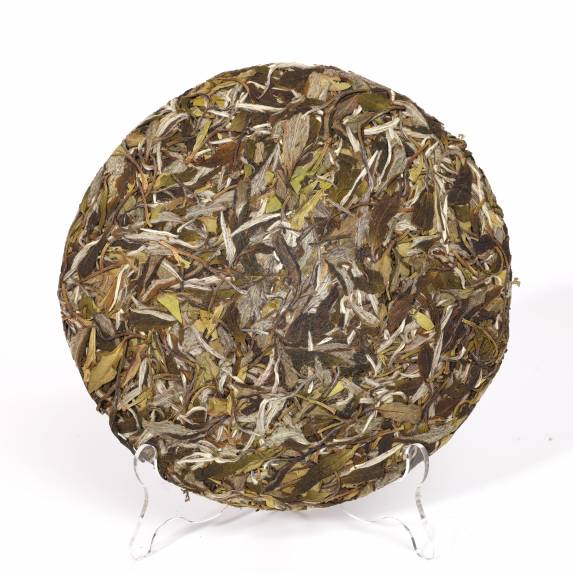Tea Collection
