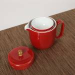 Portable Travel Tea Set