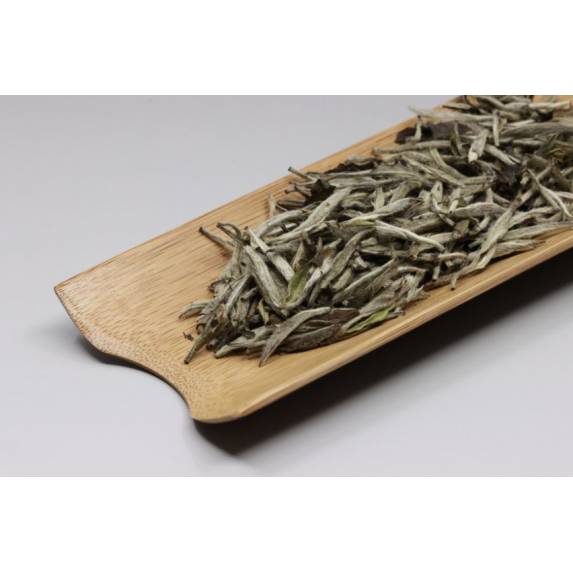 Tea Collection